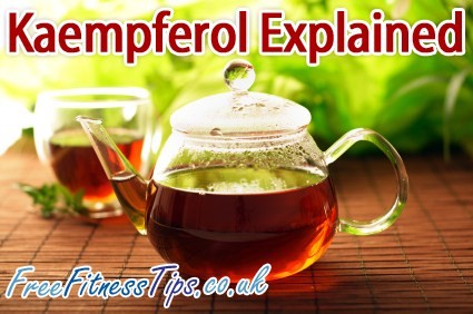 Kaempferol Explained