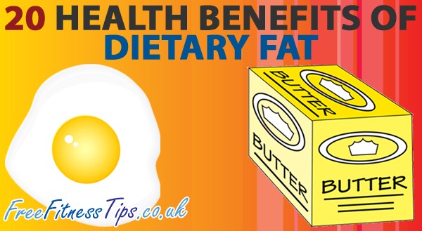 20 Health Benefits Of Dietary Fat