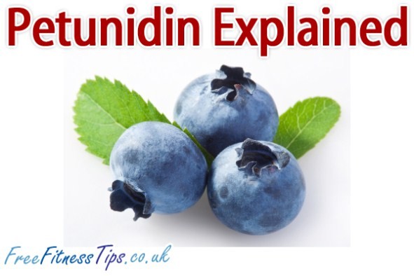 Petunidin Explained