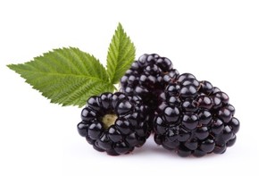 3 blackberries on a white background.