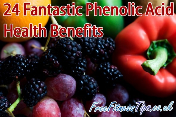 24 Fantastic Phenolic Acid Health Benefits