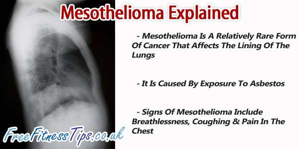 Mesothelioma Explained