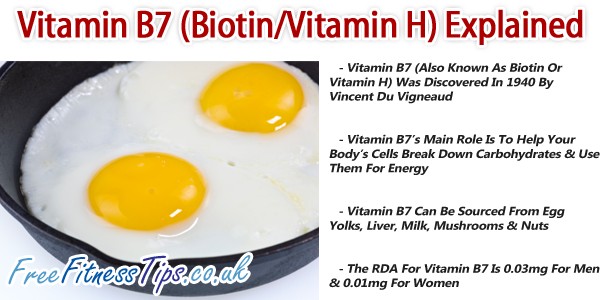 Vitamin B7 (Biotin/Vitamin H) Explained