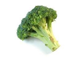 A floret of broccoli.