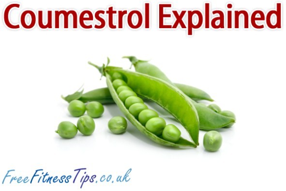 Coumestrol Explained