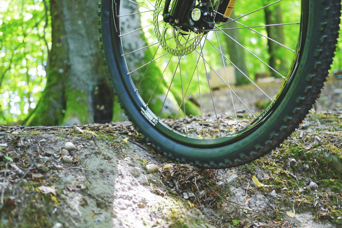 What Type Of Bike Should I Get?