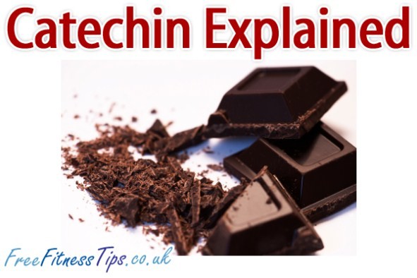 Catechin Explained