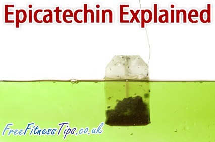 Epicatechin Explained