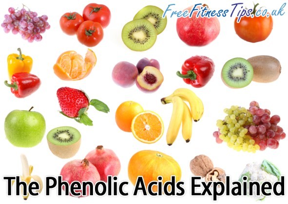 The Phenolic Acids Explained