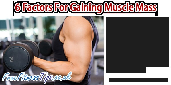 6 Factors For Gaining Muscle Mass