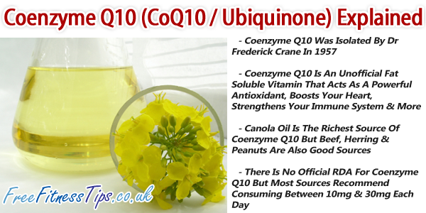 Best Food Sources Of Coenzyme Q Best Food Sources Of Coenzyme Q